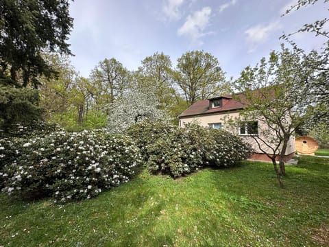 Garden, View (from property/room)