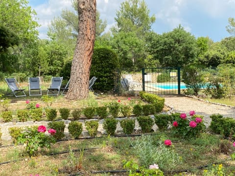 Day, Natural landscape, Summer, Garden, Garden, Garden view, Swimming pool