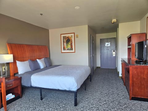 TV and multimedia, Bedroom, minibar