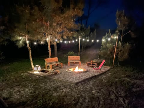 Patio, Night, Natural landscape, Garden, Garden view