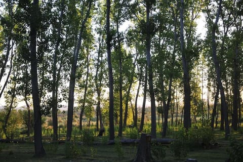 Cabaña Quinta La Gringa, San Rafael House in Mendoza Province Province