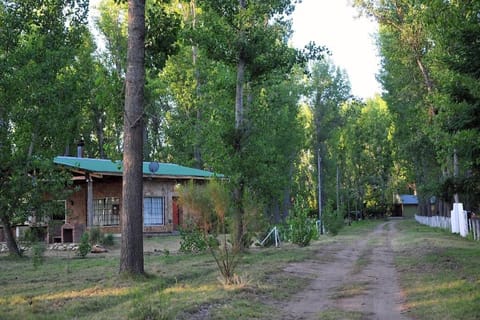 Cabaña Quinta La Gringa, San Rafael House in Mendoza Province Province