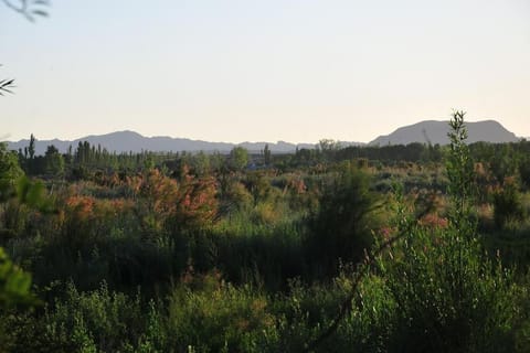 Cabaña Quinta La Gringa, San Rafael House in Mendoza Province Province