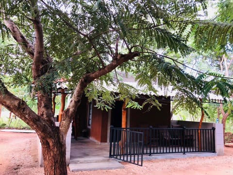 The Summer Corridor - Kataragama Bed and Breakfast in Southern Province