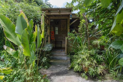 Bauhinia- Country House in Dominica