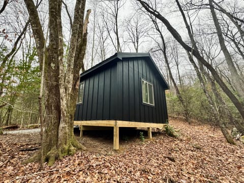 Bed and Bear 476 - Cozy Cabin in Pisgah Forest Campeggio /
resort per camper in Gloucester