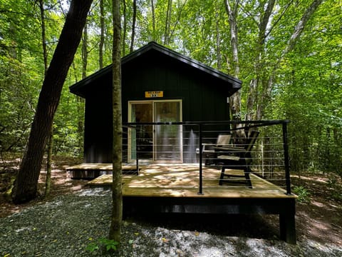 Bed and Bear 476 - Cozy Cabin in Pisgah Forest Campground/ 
RV Resort in Gloucester