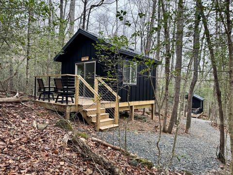 Bearly Behaving 496 - A Cozy Cabin Pisgah Retreat Campground/ 
RV Resort in Gloucester
