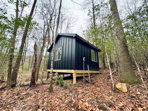 Bearly Behaving 496 - A Cozy Cabin Pisgah Retreat Camping /
Complejo de autocaravanas in Gloucester