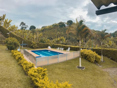 Day, Garden view, Swimming pool