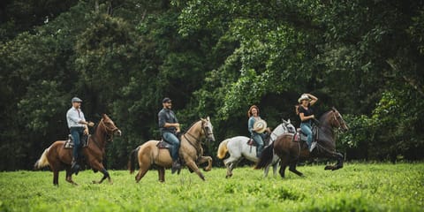 Horse-riding