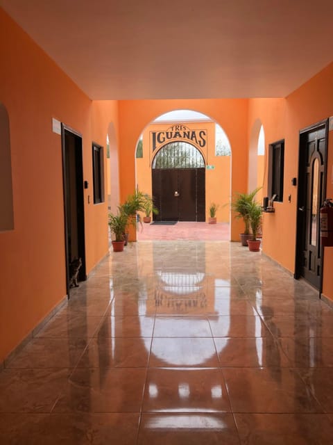 Tres Iguanas Apart Hotel - New, cozy & spacious flats, short walk to beach Condo in Loreto