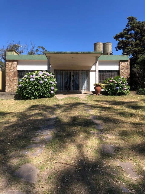 Day, Garden, Garden view