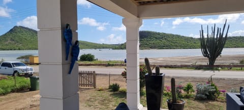 Balcony/Terrace, Balcony/Terrace, Lake view