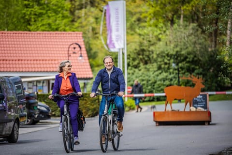 Vakantiepark De Rimboe & De Woeste Hoogte House in Hoenderloo