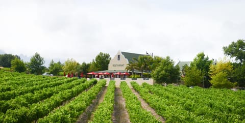 Property building, Day, Natural landscape, Garden