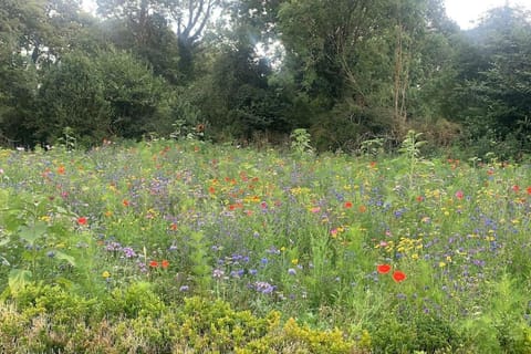 Wildflower Cottage Apartment in Co. Tipperary, Ireland