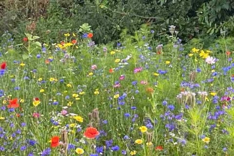 Wildflower Cottage Apartment in Co. Tipperary, Ireland