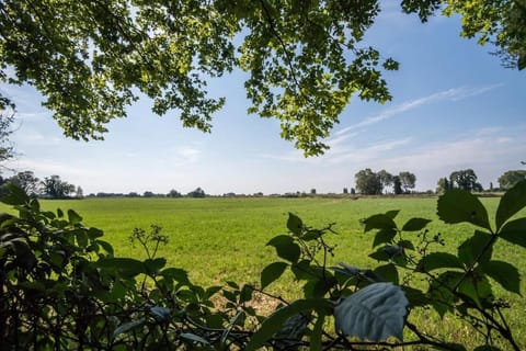 Natural landscape, Garden