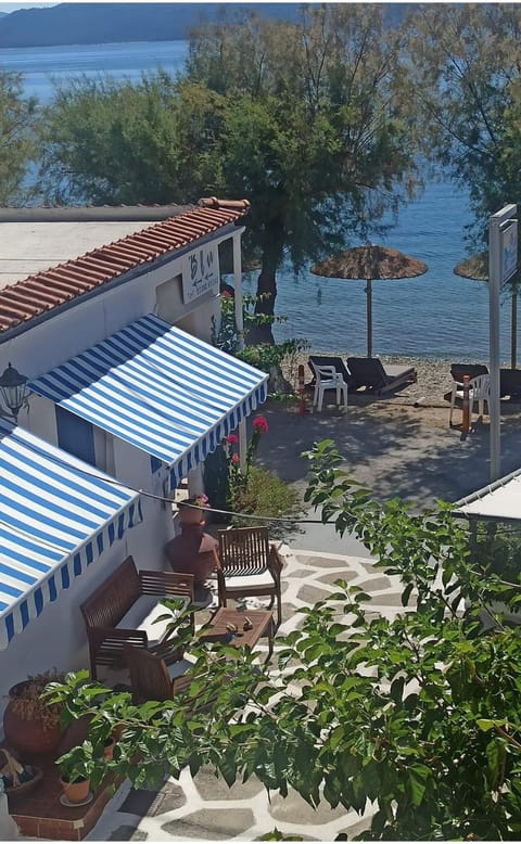 Garden, Sea view