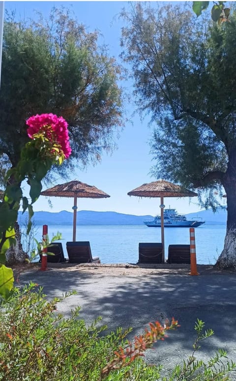 Beach, Sea view