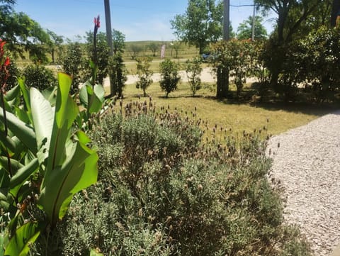 Alfonsina Holiday Home House in Sierra de La Ventana