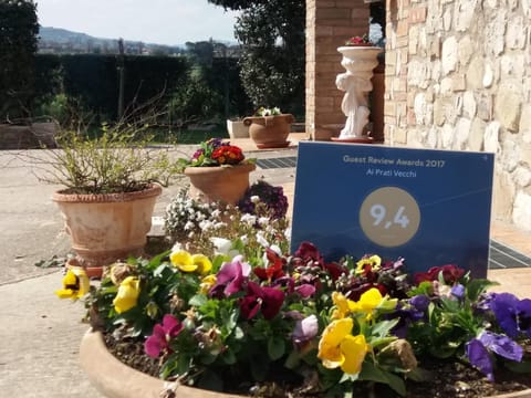 Other, Decorative detail