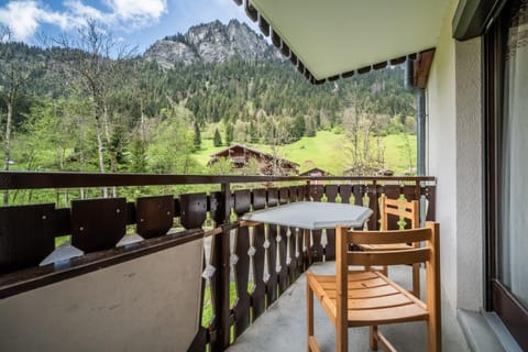 Les Avenières Apartment in Châtel