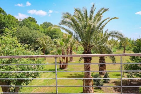 Spring, Day, Natural landscape, Garden, Garden view