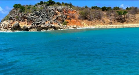 Your half-day cruise House in Saint Martin