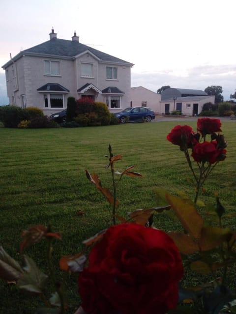 Inny River Lodge Bed and Breakfast in Longford