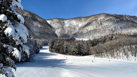 Day, Natural landscape, Winter, Skiing, Mountain view