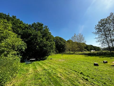 Sussex Bell Tent Luxury tent in Horsham District