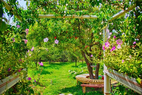 Garden, Garden view