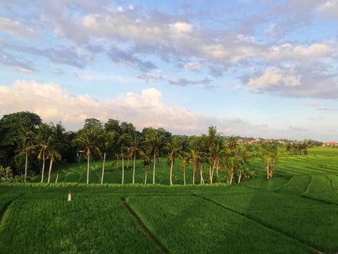 Henrynatha guesthouse Bed and Breakfast in Kediri