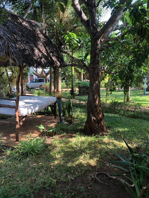 Garden, Seating area, Garden view