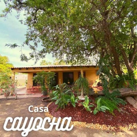 Casa Cayocha - En el corazón de Loreto Condo in Loreto