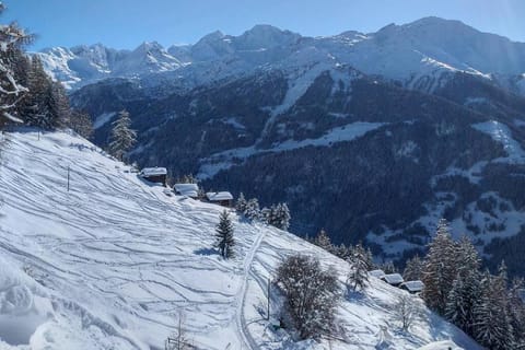 Traditional chalet in the heart of nature Chalet in Bagnes