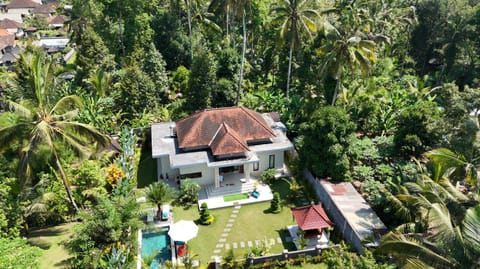 Property building, Spring, Day, Natural landscape, Bird's eye view, Garden, Garden view, Swimming pool