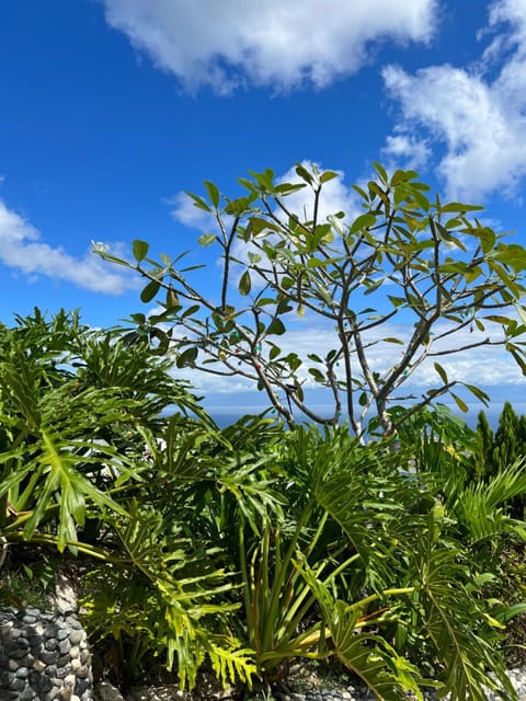 OCEANO CON VISTA HIGHLAND Resort in Island Garden City of Samal