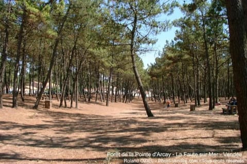 Spring, Day, People, Natural landscape, group of guests