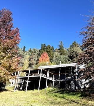 Tranquil Holiday house in Kevington House in Eildon