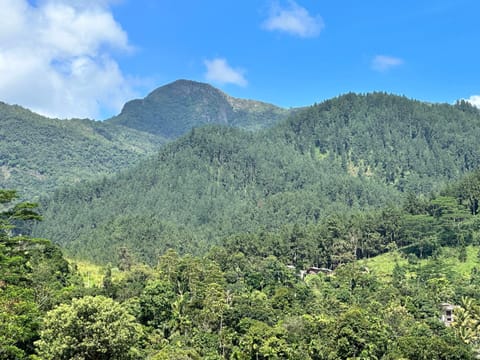 Natural landscape, Mountain view