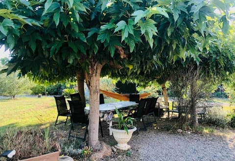 Spring, Garden, Dining area, Garden view