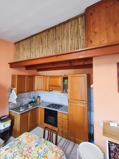 Kitchen or kitchenette, minibar, pet friendly, stove