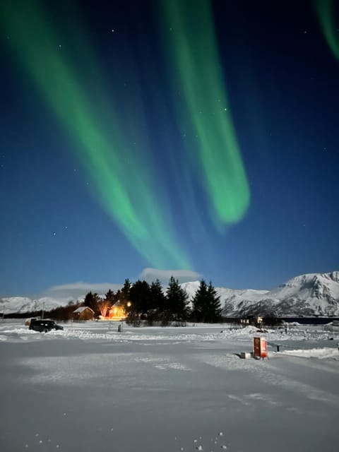 Natural landscape, Winter