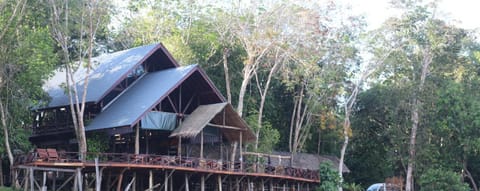 Borneo Natural Sukau Bilit Resort Natur-Lodge in Sabah