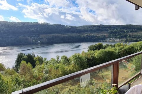 Titisee Traumblick Apartment in Hinterzarten