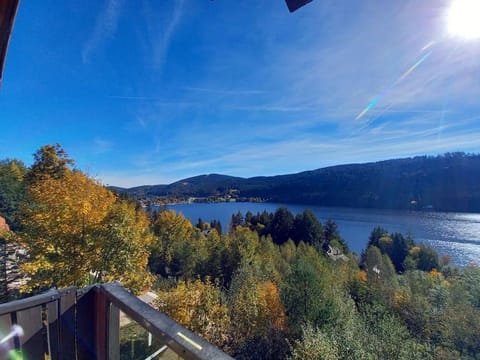 Titisee Traumblick Apartment in Hinterzarten