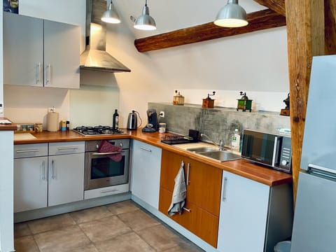 Kitchen or kitchenette, dishwasher, minibar, pet friendly, stove